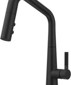Pfister GT529-ASRB Kitchen Faucets and Accessories, Matte Black