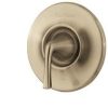 Pfister 8P8SLKK Replacement Part