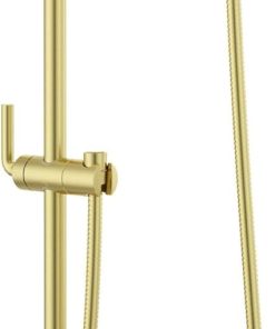 Pfister HSK-40SHW Modern Round 30" Slide Bar with 60" Hose - Brushed Gold