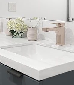 Pfister LG42-PFM0B – Bathroom Sink Faucets Faucet 2
