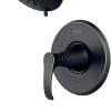 Pfister S10-2100 Rebuild Kit 3