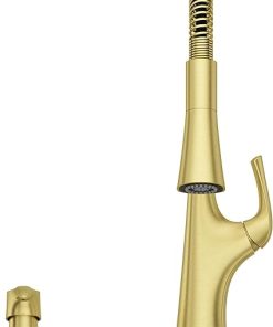 Pfister Ladera Commercial Culinary Kitchen Faucet with Pull Down Sprayer and Soap Dispenser, Single Handle, Brushed Gold Finish, F5297LRCBG 2