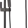 Pfister Typhoon 3-Function Handheld Shower, Polished Chrome 4