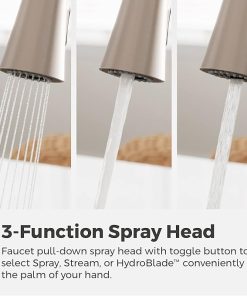 Pfister Talega Kitchen Faucet with Pull Down Sprayer, Single Handle, High Arc, Spot Defense Stainless Steel Finish, F5297TEGS 2