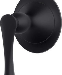 Pfister 016-RH1B Rhen Diverter Trim, Matte Black