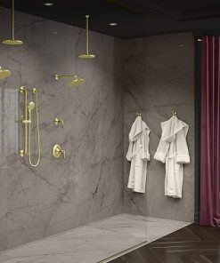 Pfister LG89-8RHBG Rhen 1-Handle Tub & Shower Trim, Brushed Gold 2
